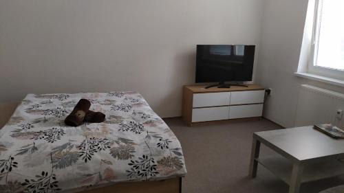 Valtice Apartamento | BYT POD ZÁMKEM