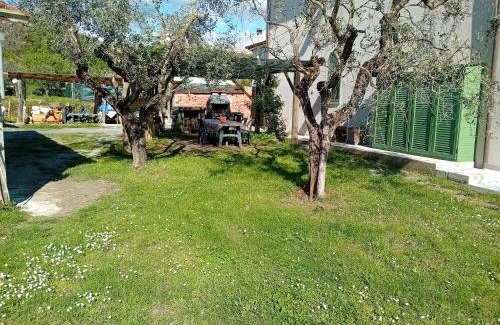 Castelnuovo Magra Apartamento | Cà degli Aredi - citra (011011-LT-0106)