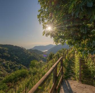Vernazza Casa | Cà du Venuto 2