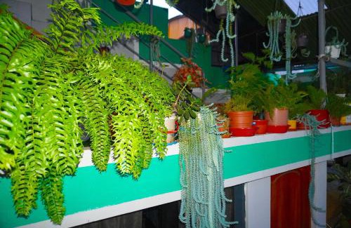 Echarate Casa | Cómodo alojamiento con jardín y baño privado-Echarati