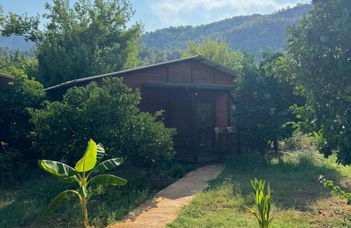 Cirali Apartamento | Cıralı Anka Apart Bungalov