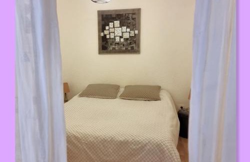 Digne-les-Bains Apartamento | Cœur de ville, T2, rue piétonne, Digne les Bains