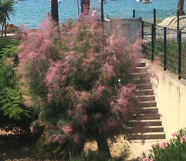 Bandol Apartamento | C'est la vie