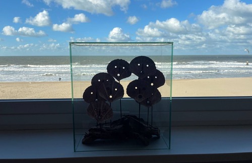 Ostend Apartamento | C the C Oostende Apartment with an Amazing view
