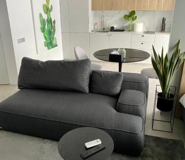 Kosuv Stary Apartamento | Caсtus Apartments 1