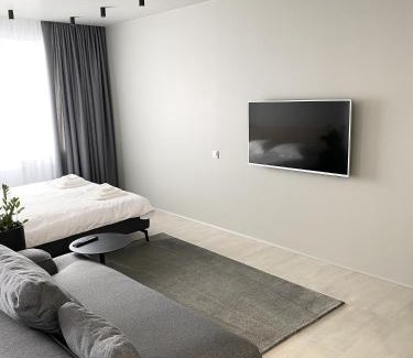 Kosuv Stary Apartamento | Caсtus Apartments 1