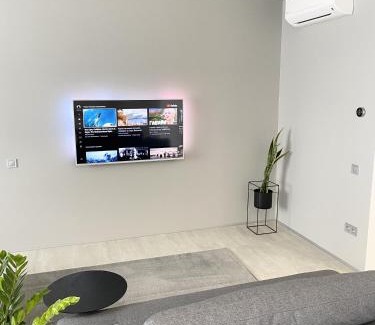 Kosuv Stary Apartamento | Caсtus Apartments 1