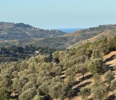 Ogliastro Cilento Cama Y Desayuno | Ca’del Borgo B&B Country House