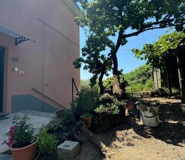 Volastra Apartamento | Ca' dii Bürsa - HOMY 5 TERRE