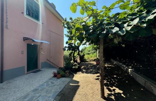 Volastra Apartamento | Ca' dii Bürsa - HOMY 5 TERRE