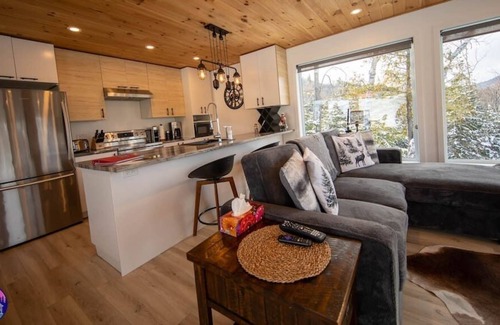 Saint Come Cabina | Le Hors Piste -SPA- PetFriendly($)