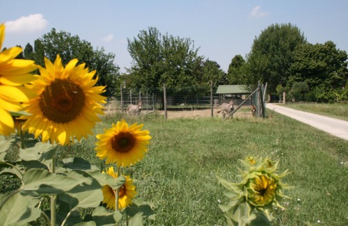 Crespellano Casa | Cà Stanga apartamento rústico en la granja 2 km salida Valsamoggia (Bolonia) A1