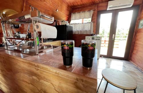 Piletas Chalet De Esquí | Cabaña 787