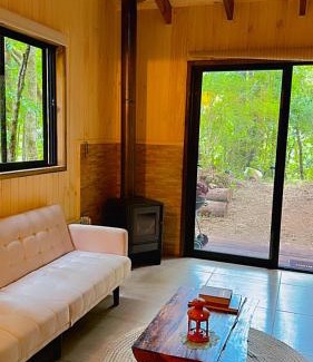Panguipulli Casa | Cabaña Alto del Bosque