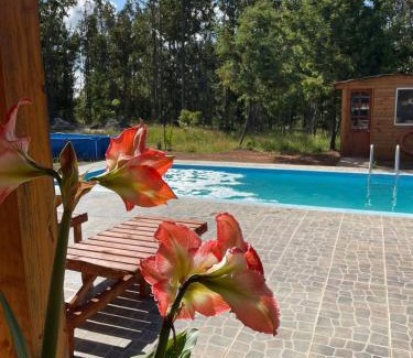 La Florida Casa | Cabaña Artemisa