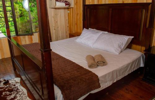 Agua Caliente Chalet De Esquí | Cabaña Ave Del Paraiso