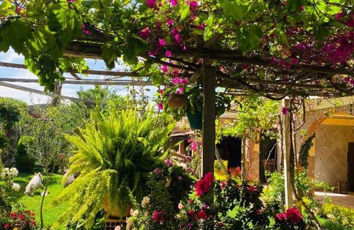 Tiquipaya Casa | Cabaña Chura