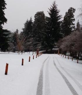 San Carlos de Bariloche Cabina | Cabaña con costa de lago