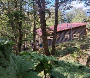 Coyhaique Chalet De Esquí | Cabaña con Tinaja privada - Coyhaique