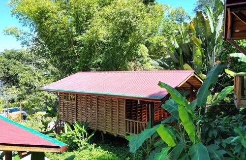 Sámara Casa | Cabaña Ave