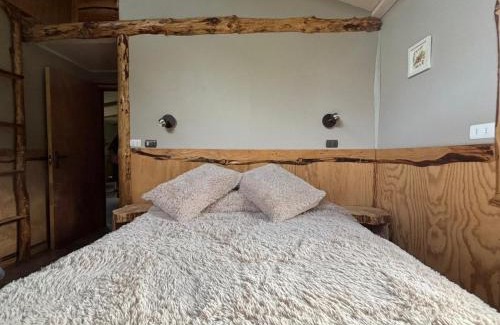 Aysen Apartamento | cabaña eco las torres del simpson aysen patagonia