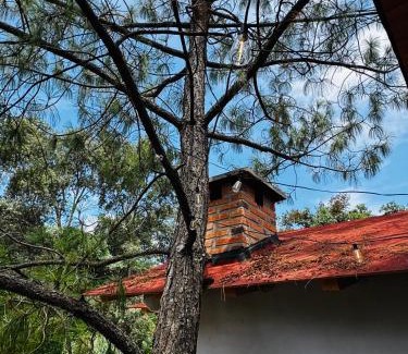 Mazamitla Casa | Cabaña el roble