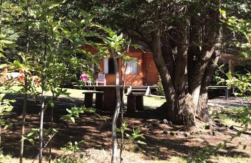 Panguipulli Casa | Cabaña en Coñaripe Sector Termas Geométricas "Entre Coigûes"