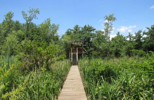 Partido de Tigre Cabina | Cabaña en el Delta Arroyo Pajarito a 20 minutos de navegación