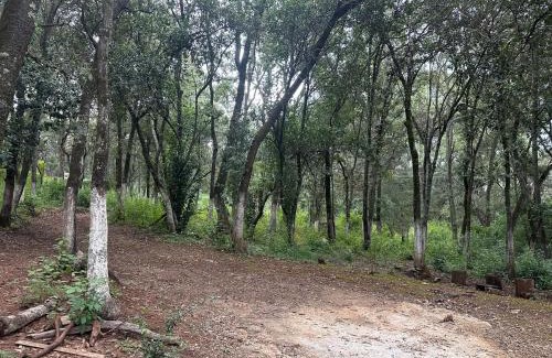 Villa del Carbón Chalet De Esquí | Cabaña en Villa del carbón