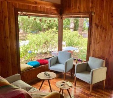 Valdivia Casa | Cabaña entre árboles