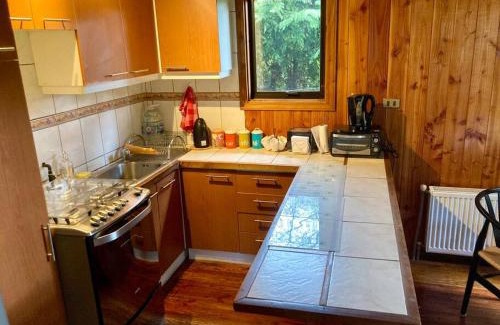 Valdivia Casa | Cabaña entre árboles