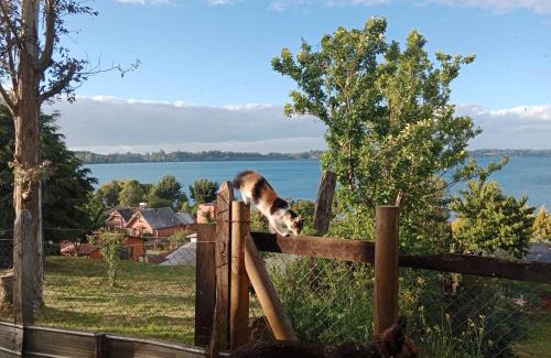 Puyehue Apartamento | Cabaña Génesis