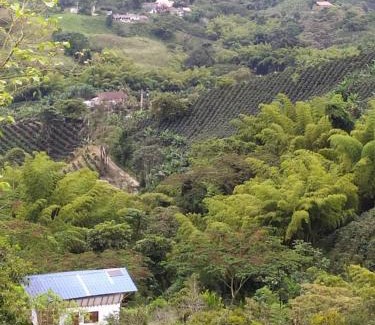Pereira Chalet De Esquí | cabaña GUADUA SERENA