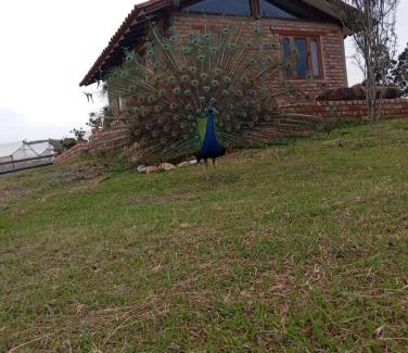 Villa de Leyva Apartamento | Cabaña lagovilla