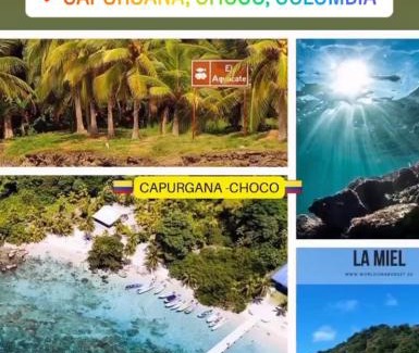 Capurgana Casa | cabaña los corales