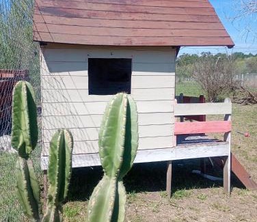 Cerro de las Rosas Apartamento | Cabaña Mitimay