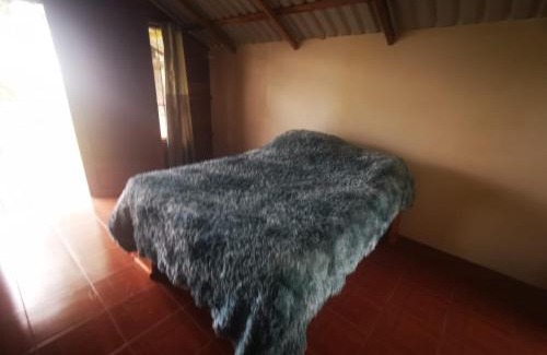 Aguas Zarcas Apartamento | Cabaña Mono Cariblanco