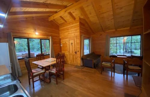 Pucon Casa | Cabaña nueva en Pucón