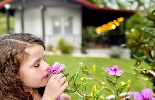 Cerro Cabina | Cabaña entre Pinos: Piscina c cale Fogata y Mini Golf en Cayey parejas, familias