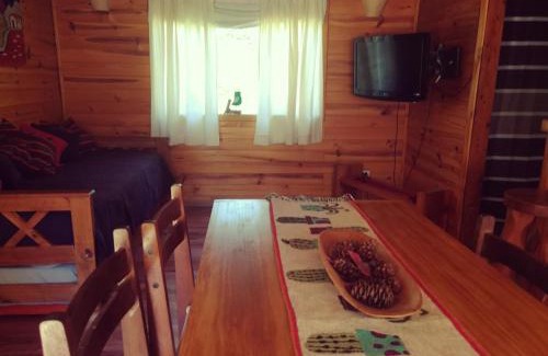 Puerto Manzano Cabina | Cabaña Rincón de Manzano