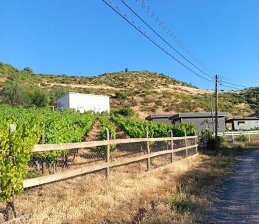 Santa Cruz Villa | Cabaña SANTACRUZ-LAPATAGUA