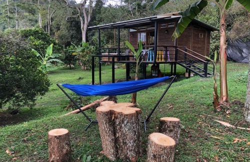 San Francisco Chalet De Esquí | Cabaña tipo glamping en finca cafetera con zonas verdes, avistamiento de aves, paisaje cafetero