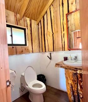 Panguipulli Casa | Cabaña Tortolas
