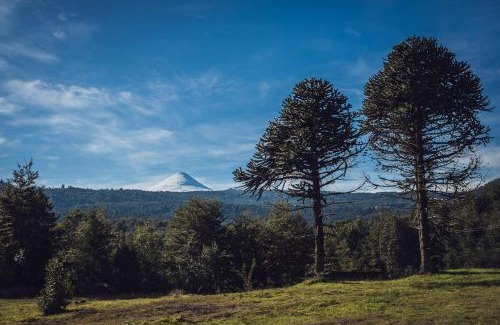 Panguipulli Apartamento | cabaña trelehueno a minutos de termas Vergara