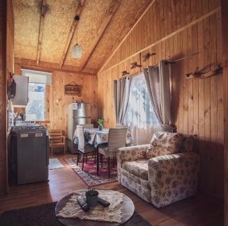 Panguipulli Apartamento | cabaña trelehueno a minutos de termas Vergara