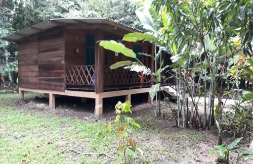 Lacanjá Hotel | Cabaña Tu´ur