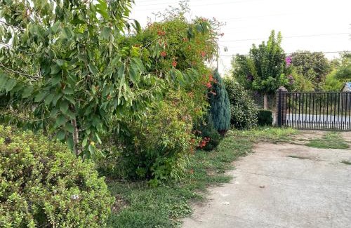 Linares Apartamento | Cabañas Anny 2