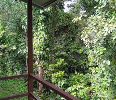 Bahía Drake Chalet De Esquí | Cabañas Bajo Bosque Drake