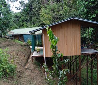Bahía Drake Chalet De Esquí | Cabañas Bajo Bosque Drake