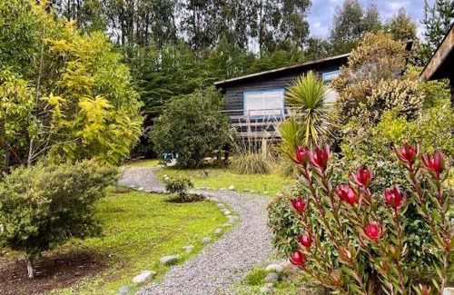 Puertecillo Casa | Cabañas Bosques de Puertecillo